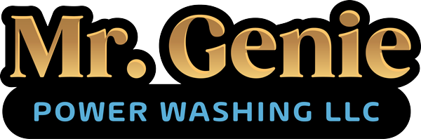 Mr. Genie Power Washing LLC Logo - Navigation